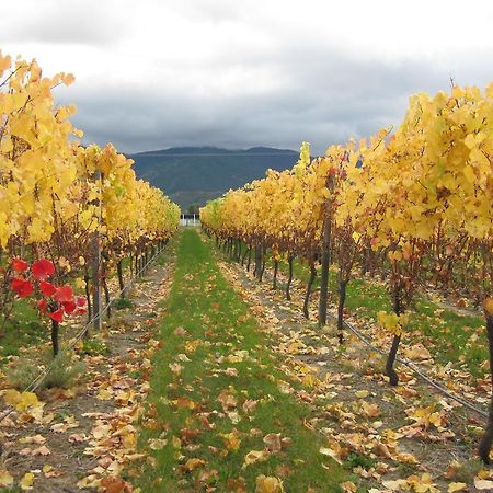 Korohi Vineyard Bnb Blenheim Eksteriør bilde